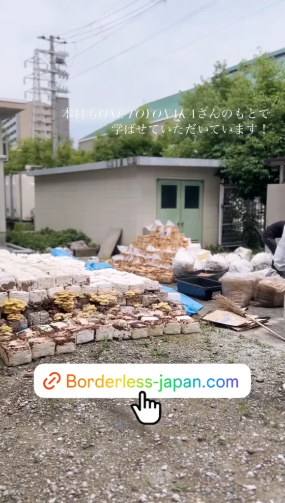 療育 × SDGs事業の活動の様子