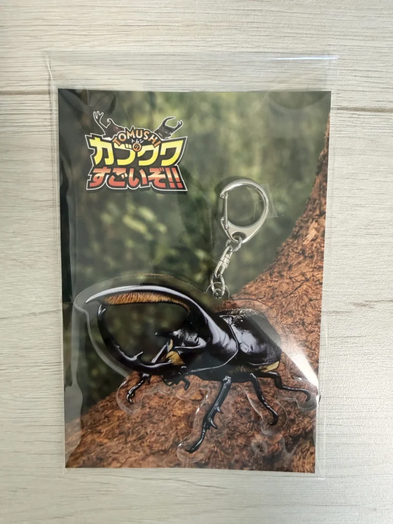 カブクワ凄いぞ展限定！物販商品のご紹介♡ | 大阪市中央区の児童発達